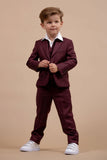 Kids Formal Suit Wedding Coat Pant Boys Wine Three Piece Suit DaVanchy