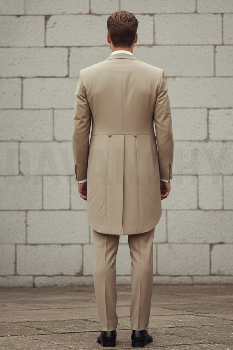 Victorian Style Tailcoat Suit-Back