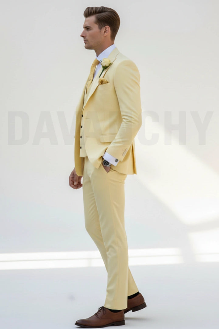 Elegant party wear three piece suit-Side