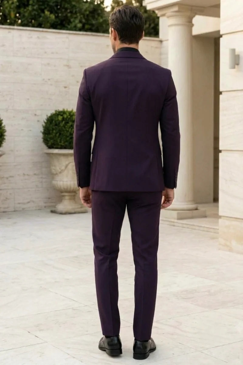 Purple Cocktail Party Wear Outfit for Men - Back