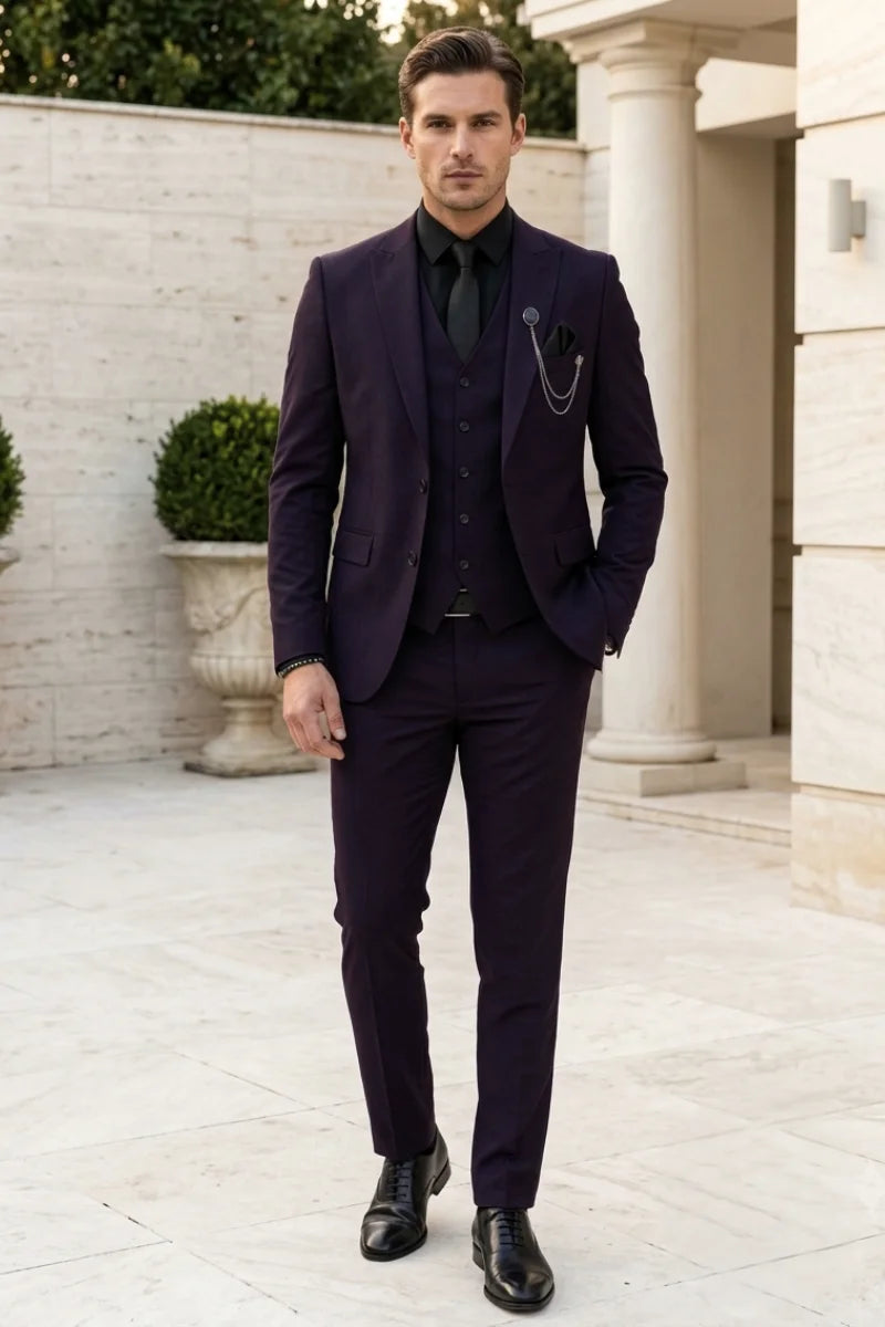 Men Dark Purple Three piece Suit - Front