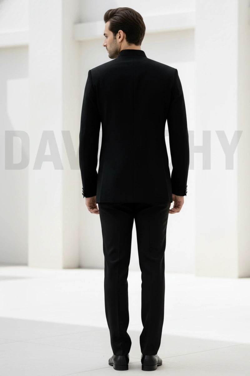 Wedding and Party Wear Designer Two Piece Suit-Back