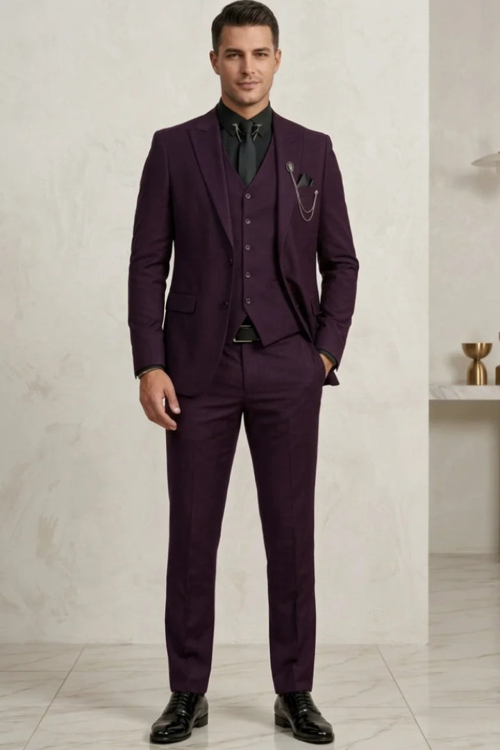 Men Purple Three-Piece Suit-Front