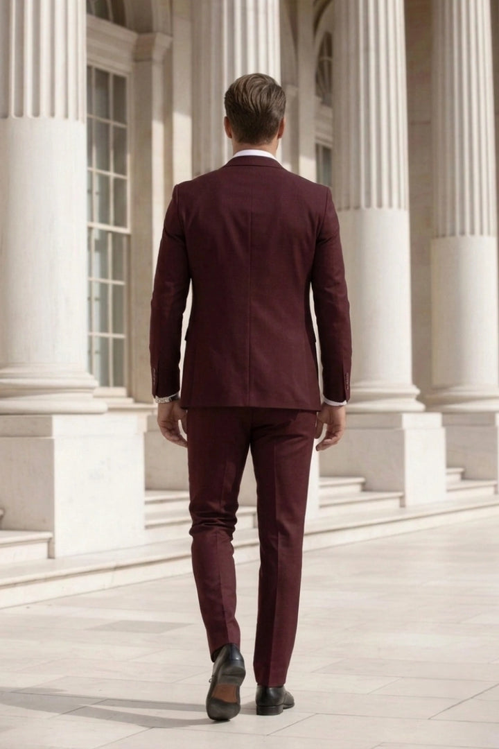 Wine Single Breasted Suit For Men (Back)  